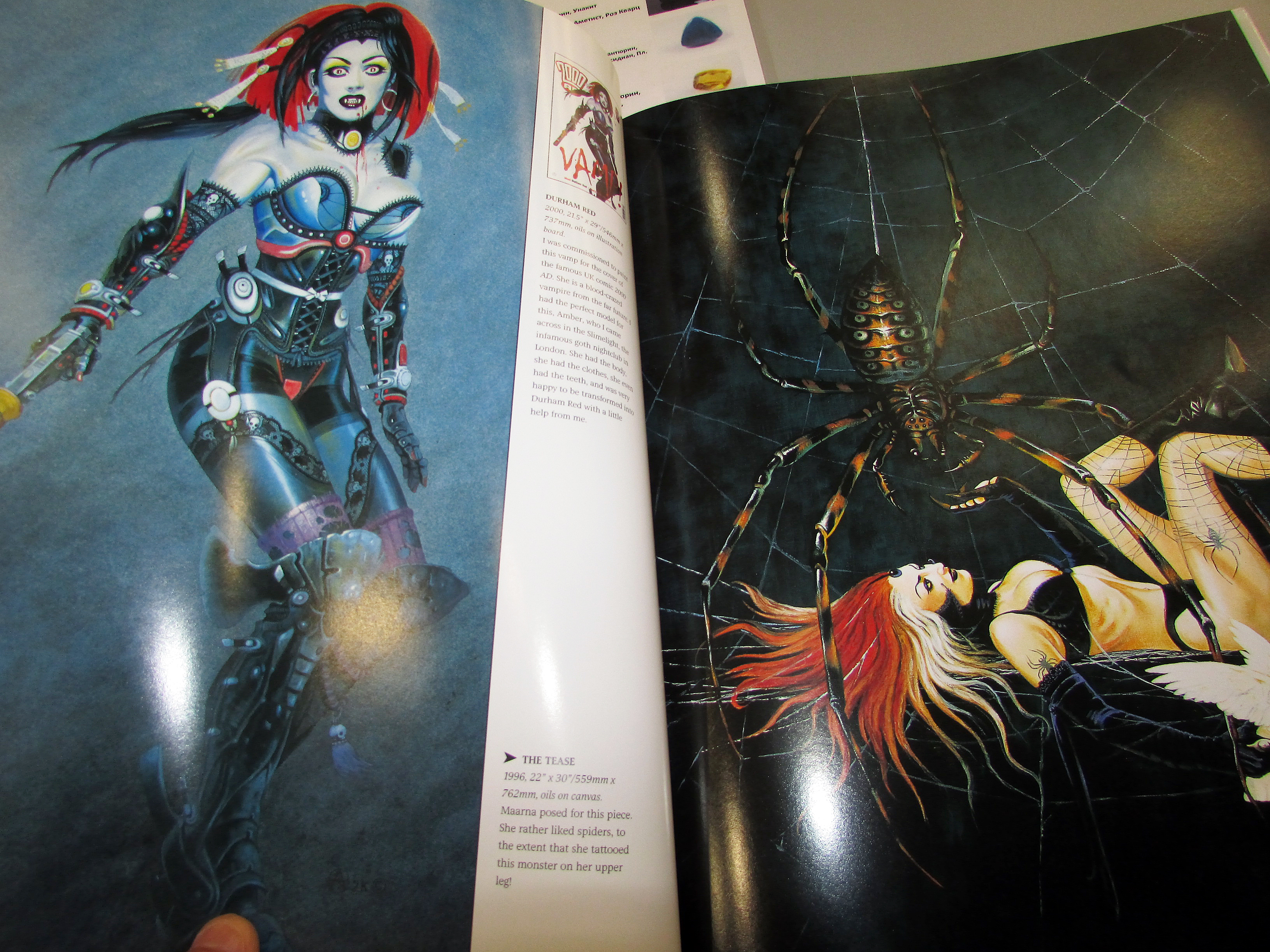 Amazona: The Art of Chris Achilleos
